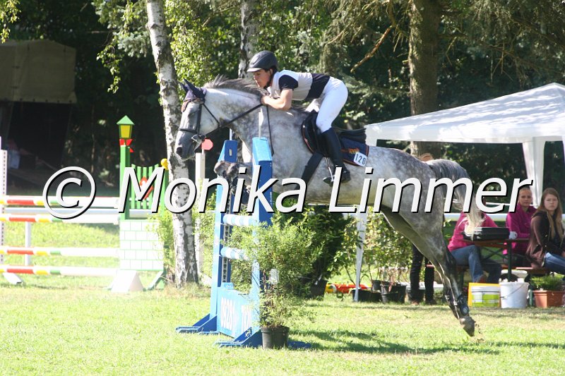 308M1376_Spring L.JPG